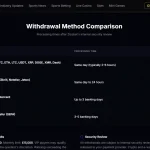 Current Zizobet withdrawal or cashier screen showing available payout choices